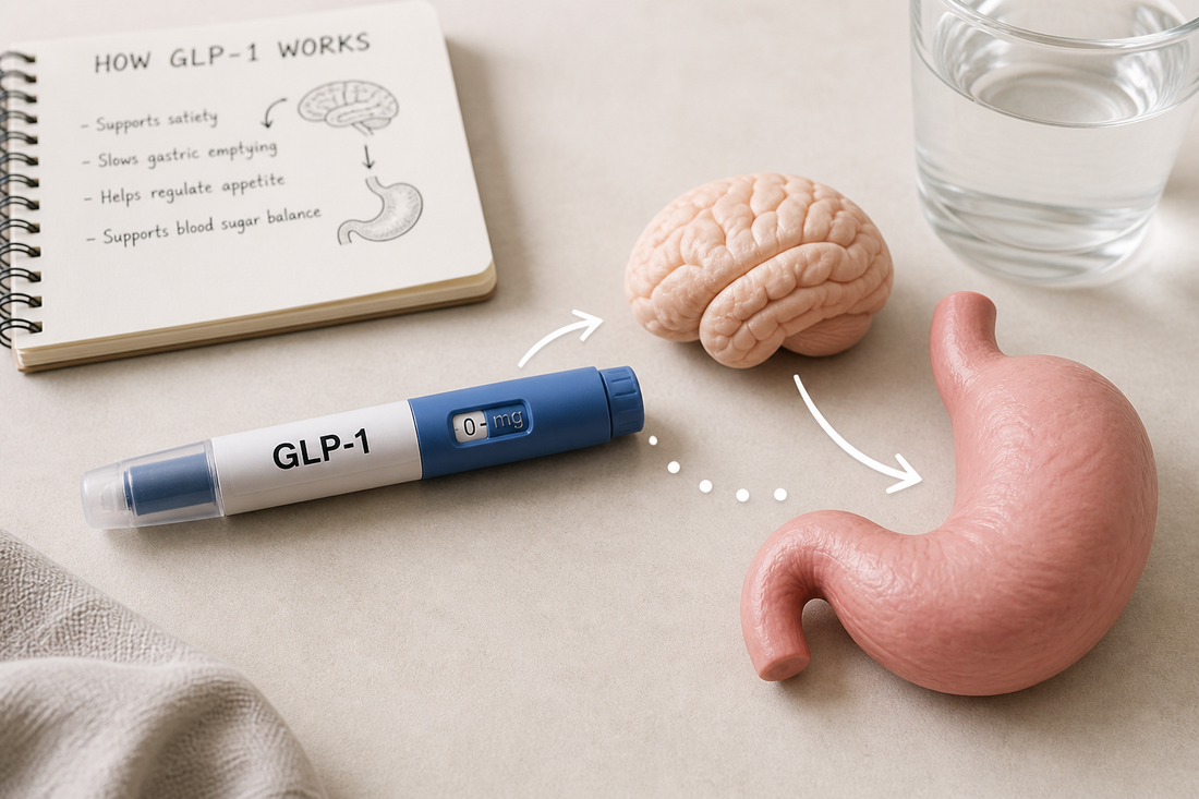 How GLP-1 Actually Works (In Plain English)